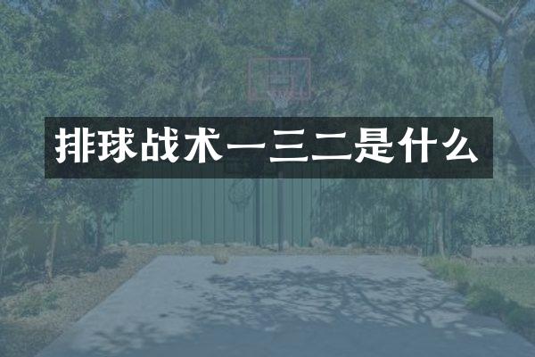 排球战术一三二是什么