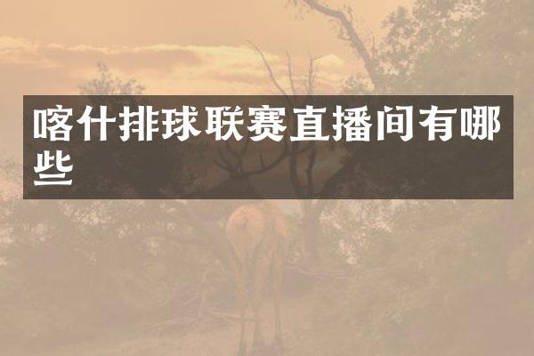 喀什排球联赛直播间有哪些