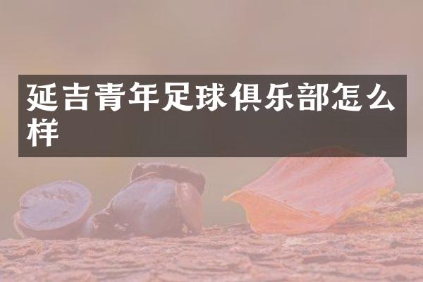 延吉青年足球俱乐部怎么样