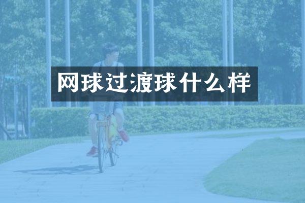 网球过渡球什么样