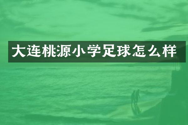 大连桃源小学足球怎么样
