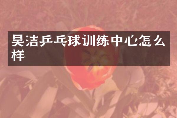 吴洁乒乓球训练中心怎么样