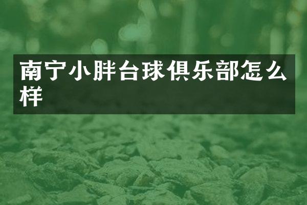 南宁小胖台球俱乐部怎么样