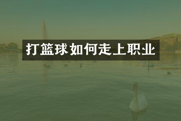 打篮球如何走上职业