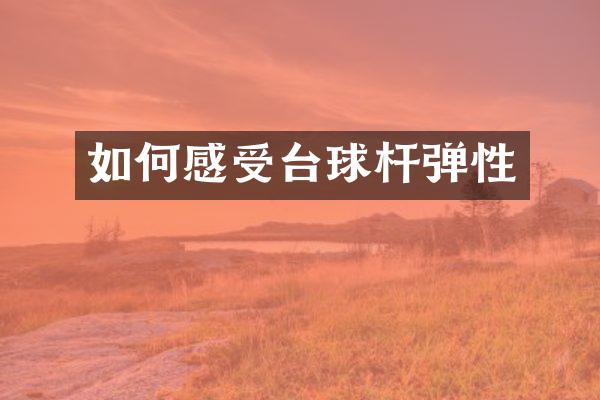 如何感受台球杆弹性