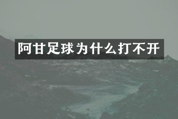 阿甘足球为什么打不开