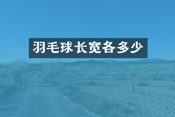 羽毛球长宽各多少
