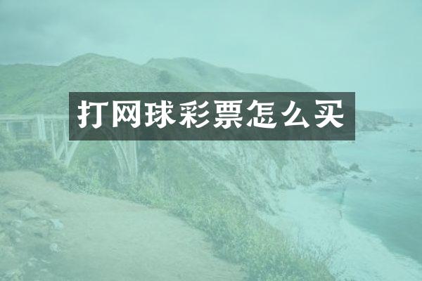 打网球彩票怎么买
