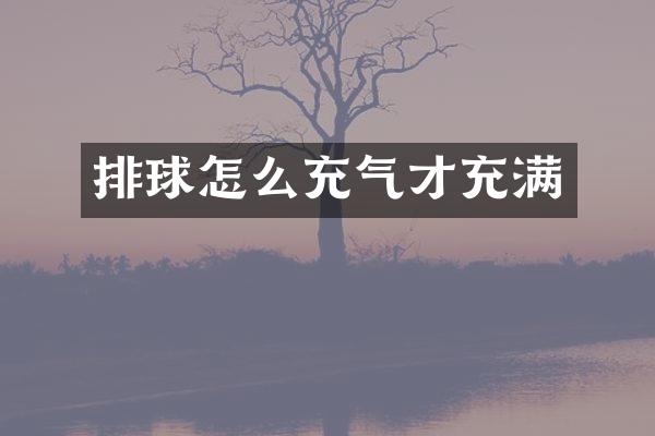 排球怎么充气才充满