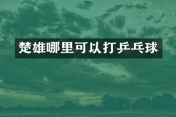 楚雄哪里可以打乒乓球