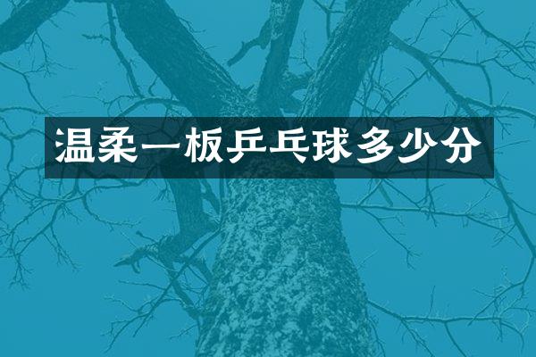 温柔一板乒乓球多少分