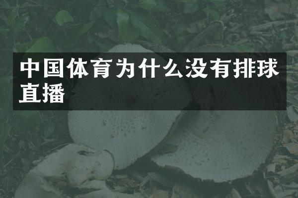 中国体育为什么没有排球直播
