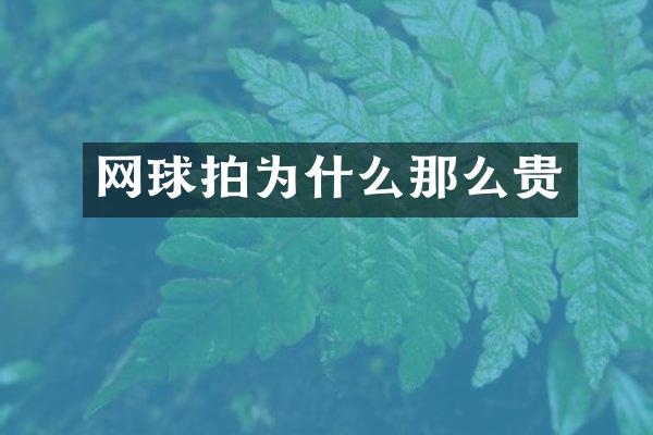 网球拍为什么那么贵