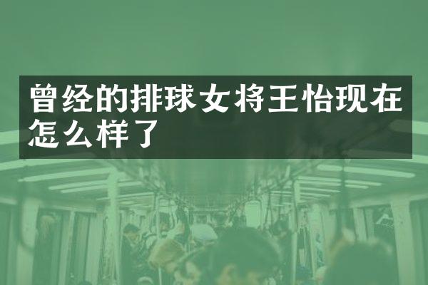 曾经的排球女将现在怎么样了
