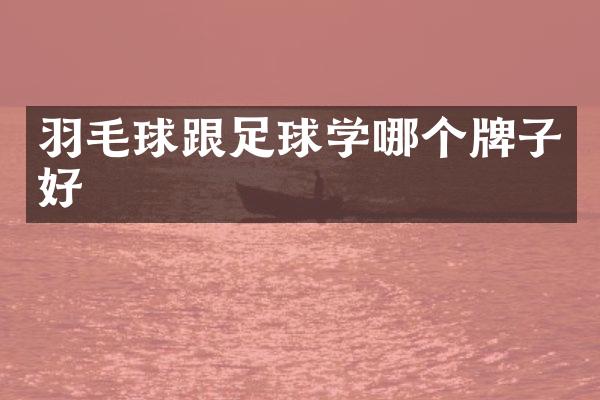 羽毛球跟足球学哪个牌子好