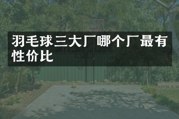 羽毛球三大厂哪个厂最有性价比