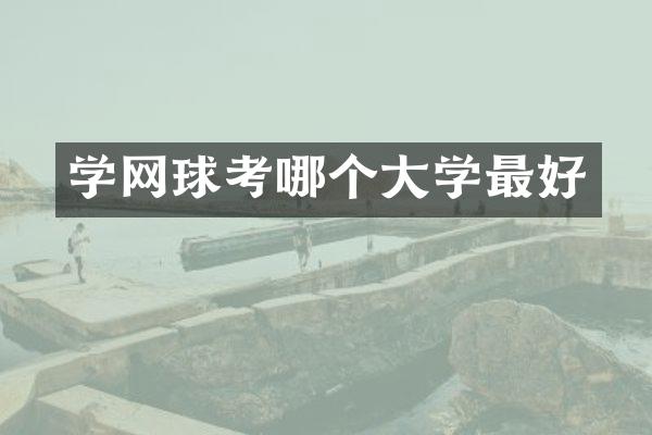 学网球考哪个大学最好
