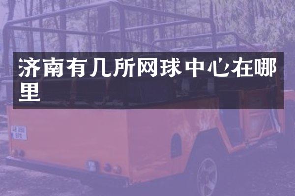 济南有几所网球中心在哪里