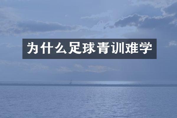 为什么足球青训难学