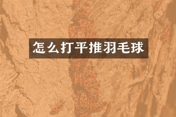 怎么打平推羽毛球