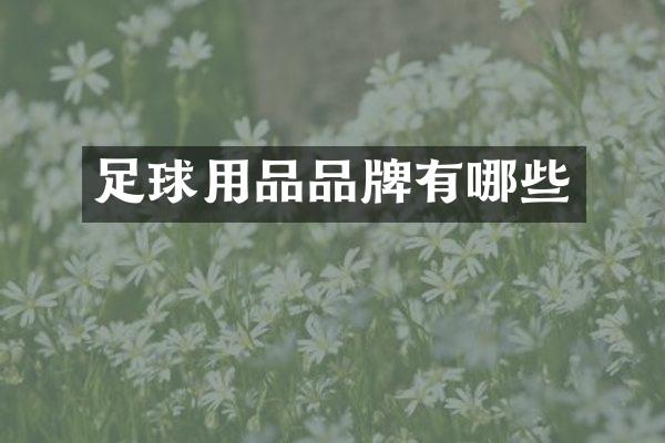 足球用品品牌有哪些