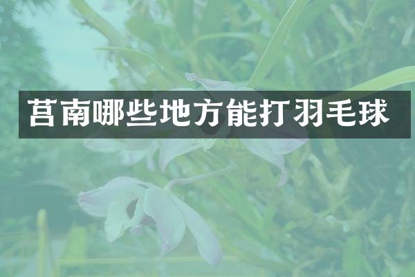 莒南哪些地方能打羽毛球