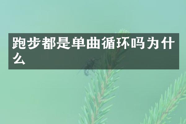 跑步都是单曲循环吗为什么