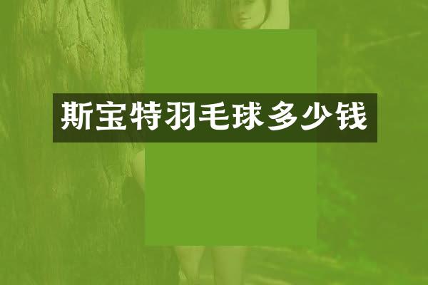 斯宝特羽毛球多少钱