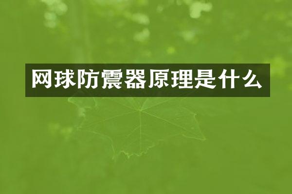 网球防震器原理是什么
