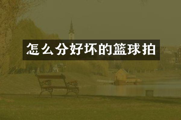 怎么分好坏的篮球拍