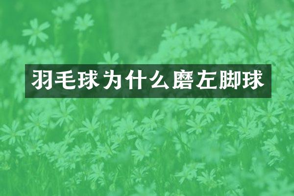 羽毛球为什么磨左脚球