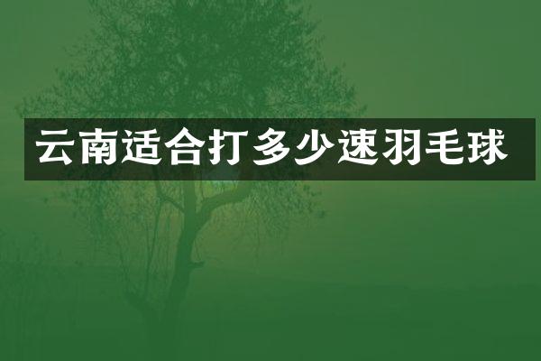 云南适合打多少速羽毛球