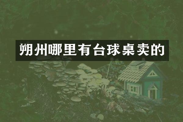 朔州哪里有台球桌卖的