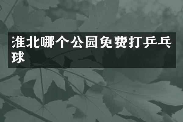 淮北哪个公园免费打乒乓球