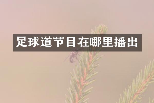 足球道节目在哪里播出
