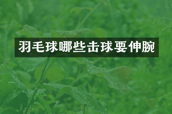 羽毛球哪些击球要伸腕