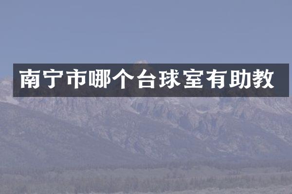 南宁市哪个台球室有助教