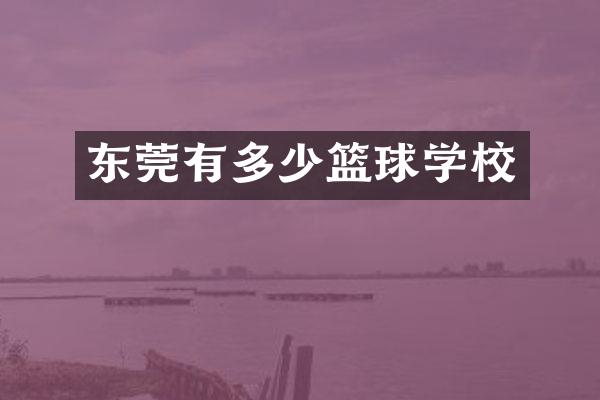 东莞有多少篮球学校
