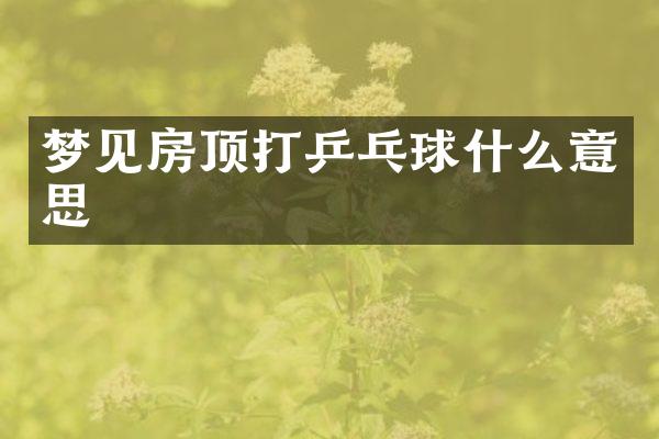 梦见房顶打乒乓球什么意思