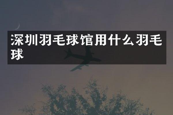 深圳羽毛球馆用什么羽毛球