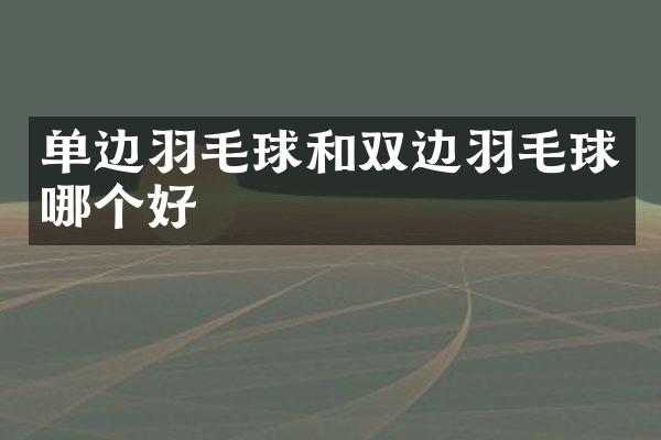 单边羽毛球和双边羽毛球哪个好
