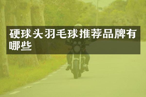 硬球头羽毛球推荐品牌有哪些