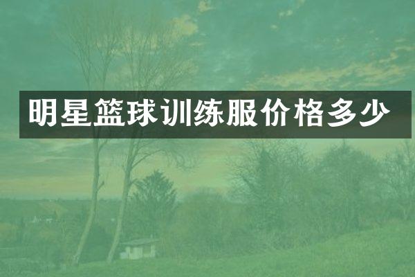 明星篮球训练服价格多少