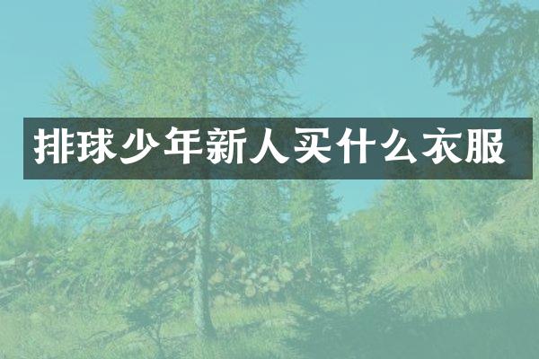 排球少年新人衣服