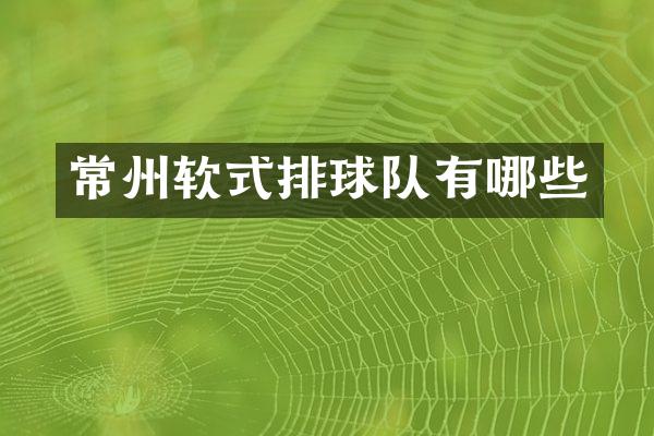 常州软式排球队有哪些