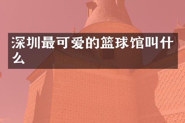深圳最可爱的篮球馆叫什么