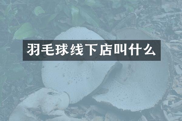 羽毛球线下店叫什么