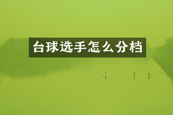 台球选手怎么分档
