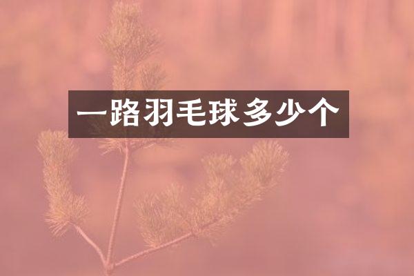 一路羽毛球多少个