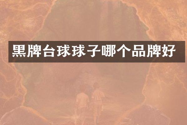 黑牌台球球子哪个品牌好